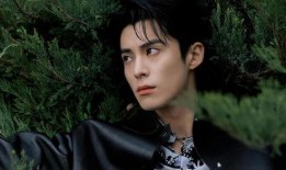 王鹤棣八卦爆料最新,揭秘娱乐圈背后的惊人真相