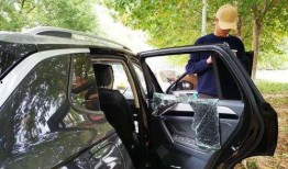 抽车最新爆料新闻视频大全,视频大全揭秘行业内幕