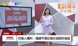 钓鱼爆料视频下载大全最新,最新钓鱼技巧与实战解析