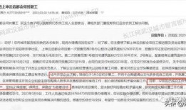 武汉职场爆料案件最新消息,真相揭晓，企业内部矛盾激化引关注