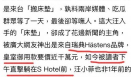 徐总最新爆料视频,最新爆料视频深度解析