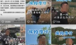 钓鱼爆料视频最新版本,惊心动魄的捕鱼技巧与惊险瞬间