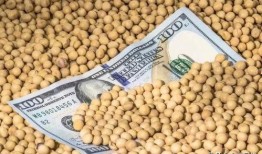美国大豆最新爆料,揭秘行业变革与未来趋势